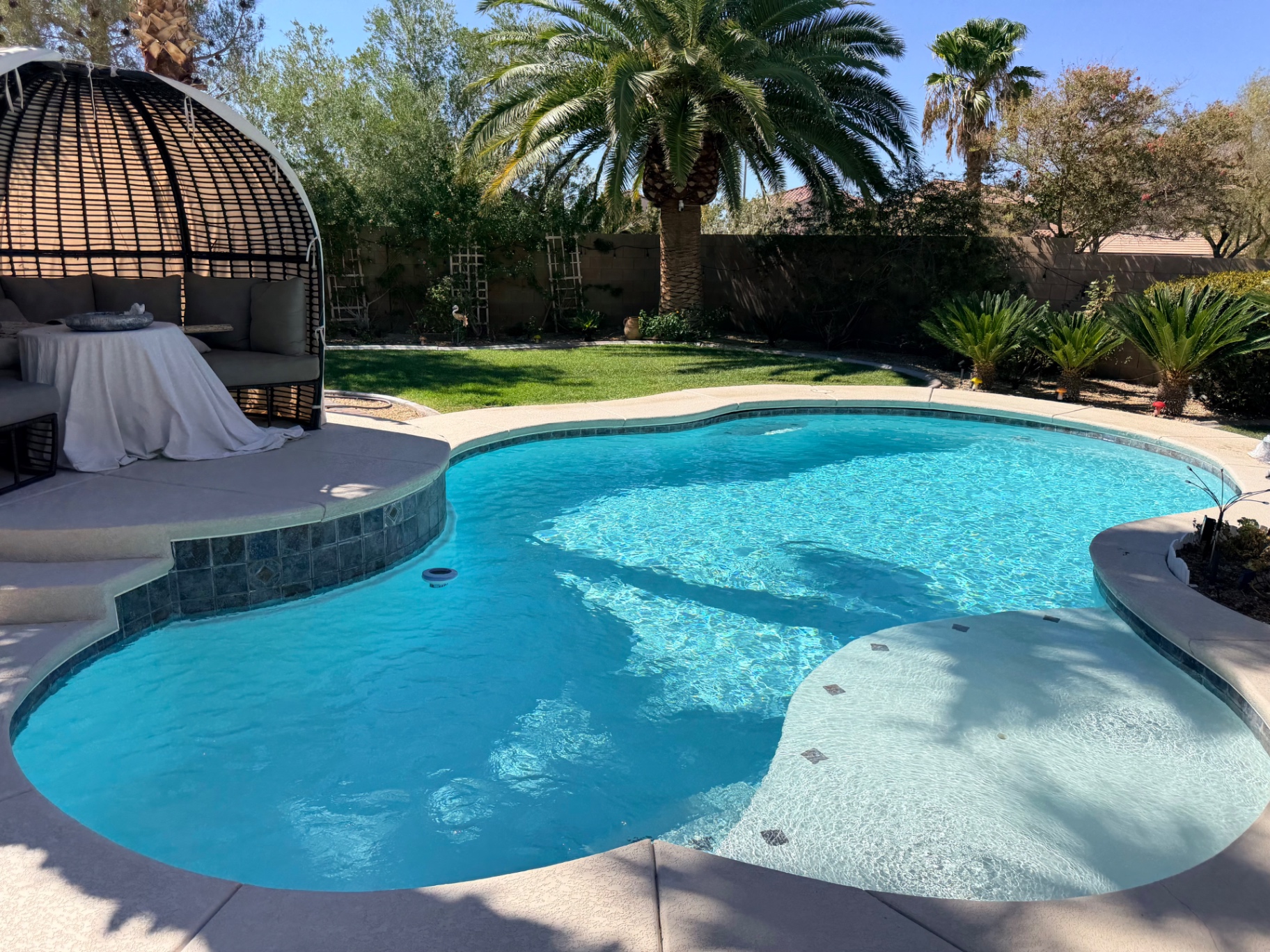 Crystal-clear curved pool and spa maintained in a Las Vegas backyard